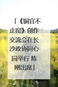 《铜官不止窑》创作交流会在长沙政协同心园举行 陈刚出席