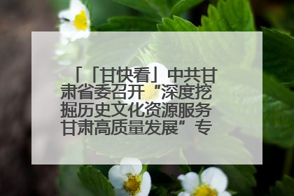 「甘快看」中共甘肃省委召开“深度挖掘历史文化资源服务甘肃高质量发展”专题协商座谈会 胡昌升主持并讲话