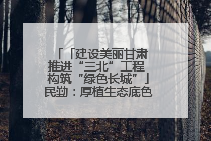 「建设美丽甘肃 推进“三北”工程 构筑“绿色长城”」民勤：厚植生态底色 筑牢绿色屏障