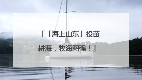 「海上山东」投苗耕海，牧海图强！