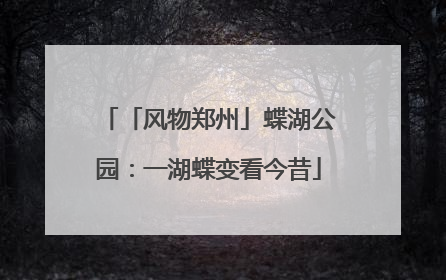 「风物郑州」蝶湖公园：一湖蝶变看今昔