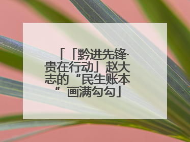 「黔进先锋·贵在行动」赵大志的“民生账本”画满勾勾