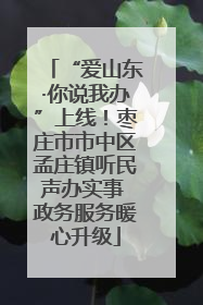 “爱山东·你说我办”上线！枣庄市市中区孟庄镇听民声办实事 政务服务暖心升级