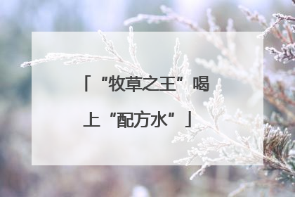 “牧草之王”喝上“配方水”