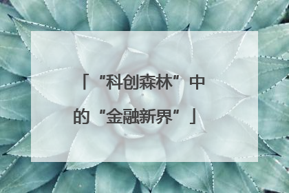 “科创森林”中的“金融新界”