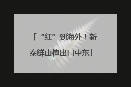 “红”到海外！新泰鲜山楂出口中东