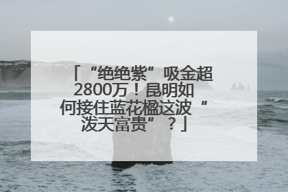 “绝绝紫”吸金超2800万！昆明如何接住蓝花楹这波“泼天富贵”？