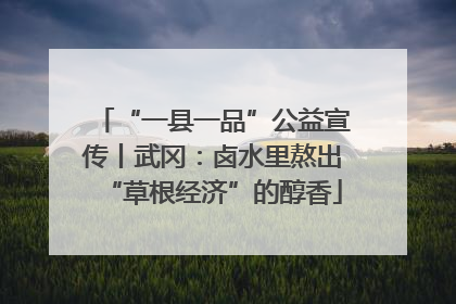“一县一品”公益宣传丨武冈：卤水里熬出“草根经济”的醇香