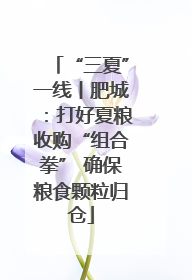 “三夏”一线丨肥城：打好夏粮收购“组合拳” 确保粮食颗粒归仓