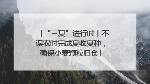 “三夏”进行时丨不误农时完成夏收夏种，确保小麦颗粒归仓