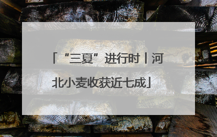 “三夏”进行时丨河北小麦收获近七成