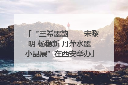 “三希墨韵——宋黎明 杨稳新 丹萍水墨小品展”在西安举办