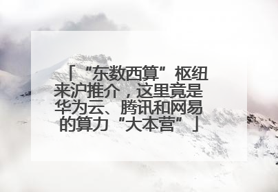 “东数西算”枢纽来沪推介，这里竟是华为云、腾讯和网易的算力“大本营”