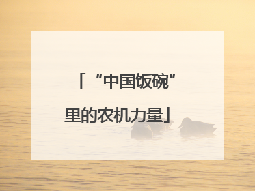 “中国饭碗”里的农机力量