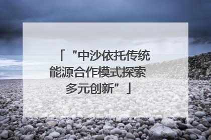 “中沙依托传统能源合作模式探索多元创新”