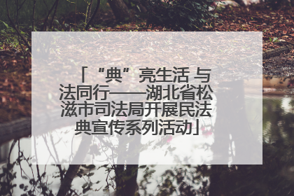 “典”亮生活 与法同行——湖北省松滋市司法局开展民法典宣传系列活动