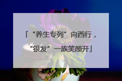 “养生专列”向西行，“银发”一族笑颜开