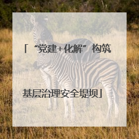 “党建+化解”构筑基层治理安全堤坝