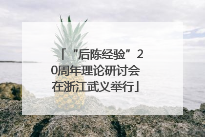 “后陈经验”20周年理论研讨会在浙江武义举行