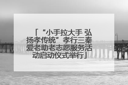 “小手拉大手 弘扬孝传统”孝行三秦爱老助老志愿服务活动启动仪式举行