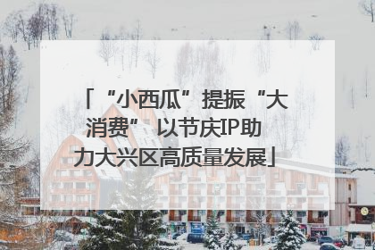 “小西瓜”提振“大消费” 以节庆IP助力大兴区高质量发展