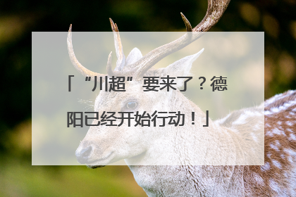 “川超”要来了？德阳已经开始行动！