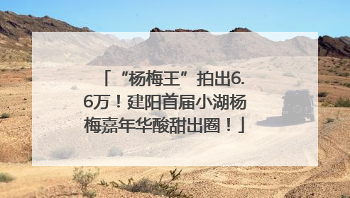 “杨梅王”拍出6.6万！建阳首届小湖杨梅嘉年华酸甜出圈！