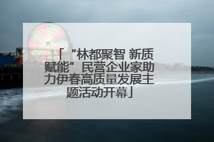 “林都聚智 新质赋能”民营企业家助力伊春高质量发展主题活动开幕