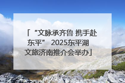 “文脉承齐鲁 携手赴东平” 2025东平湖文旅济南推介会举办