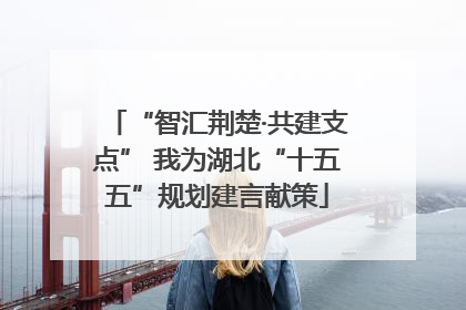 “智汇荆楚·共建支点” 我为湖北“十五五”规划建言献策