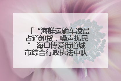 “海鲜运输车凌晨占道卸货，噪声扰民” 海口博爱街道城市综合行政执法中队：将联合交警加强长堤路一带巡逻