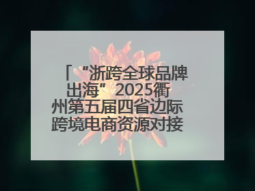 “浙跨全球品牌出海”2025衢州第五届四省边际跨境电商资源对接活动成功举办