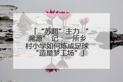 “苏超”主力 “溯源” 记：一所乡村小学如何炼成足球 “造星梦工场”