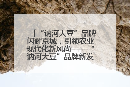“讷河大豆”品牌闪耀京城，引领农业现代化新风尚——“讷河大豆”品牌新发地推介会圆满落幕