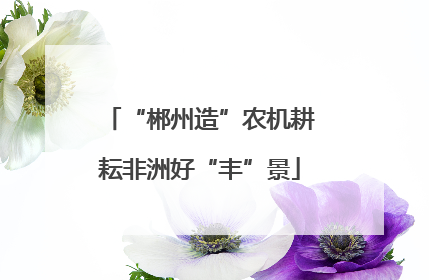 “郴州造”农机耕耘非洲好“丰”景