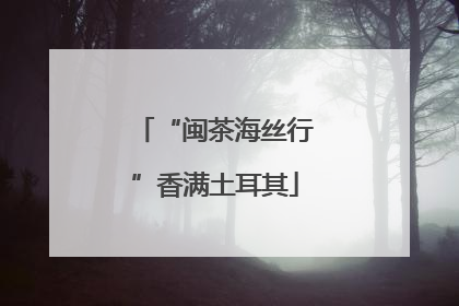 “闽茶海丝行”香满土耳其