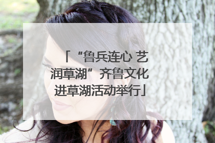 “鲁兵连心 艺润草湖”齐鲁文化进草湖活动举行