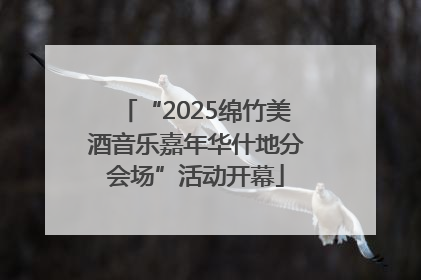 “2025绵竹美酒音乐嘉年华什地分会场”活动开幕