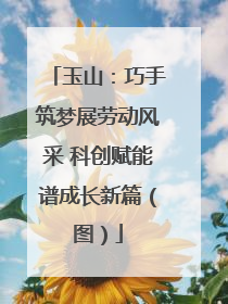 玉山：巧手筑梦展劳动风采 科创赋能谱成长新篇（图）