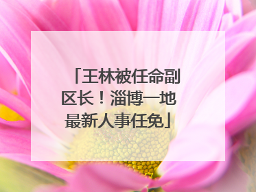 王林被任命副区长！淄博一地最新人事任免