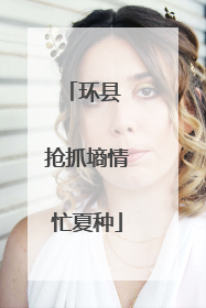 环县 抢抓墒情忙夏种