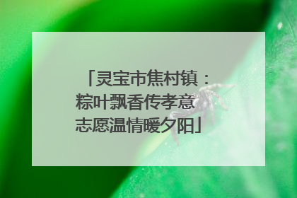 灵宝市焦村镇：粽叶飘香传孝意 志愿温情暖夕阳