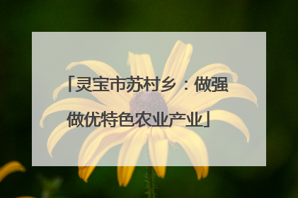 灵宝市苏村乡：做强做优特色农业产业
