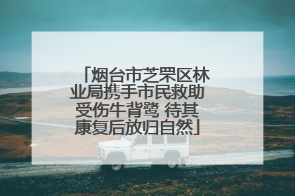 烟台市芝罘区林业局携手市民救助受伤牛背鹭 待其康复后放归自然