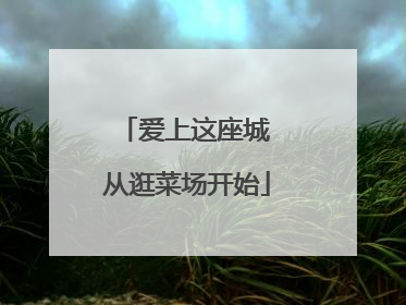 爱上这座城 从逛菜场开始