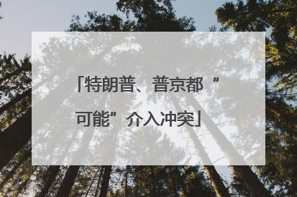 特朗普、普京都“可能”介入冲突