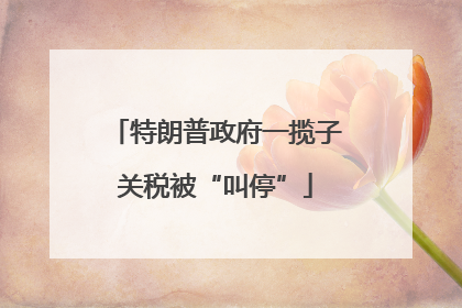 特朗普政府一揽子关税被“叫停”