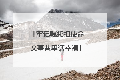 牢记嘱托担使命 文亭巷里话幸福