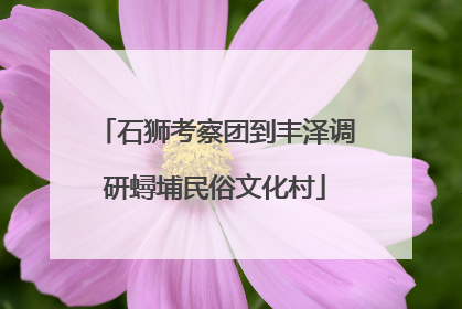 石狮考察团到丰泽调研蟳埔民俗文化村