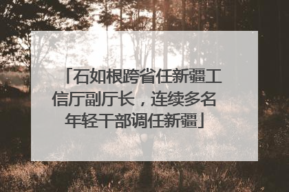 石如根跨省任新疆工信厅副厅长，连续多名年轻干部调任新疆
